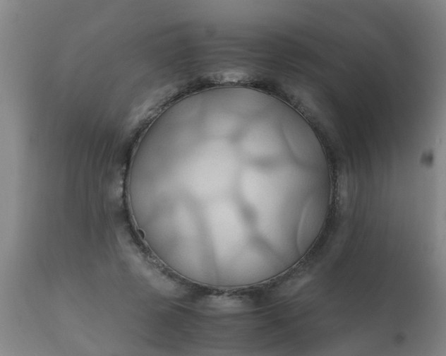 X0000110970545200907022247