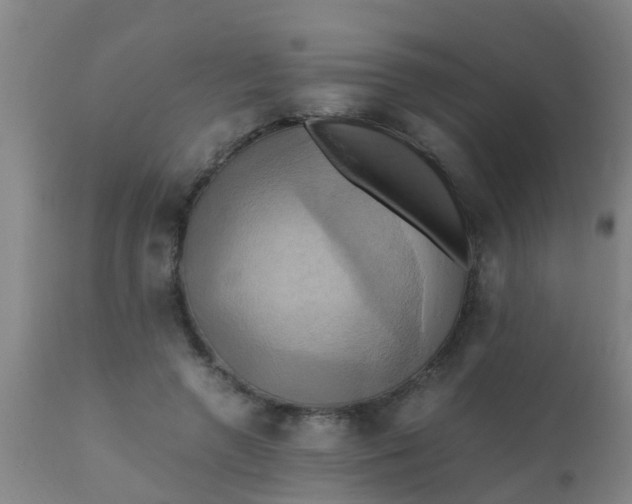 X0000110970546200907022247