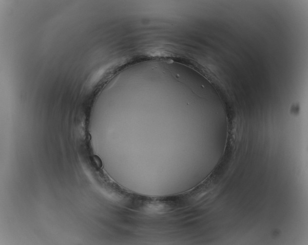 X0000110970547200907022247