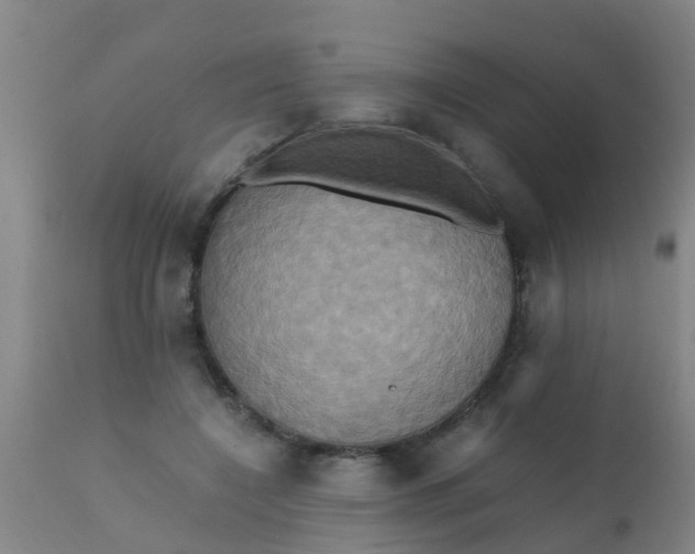 X0000110970548200907022247