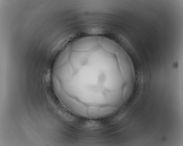 X0000110970549200907022247