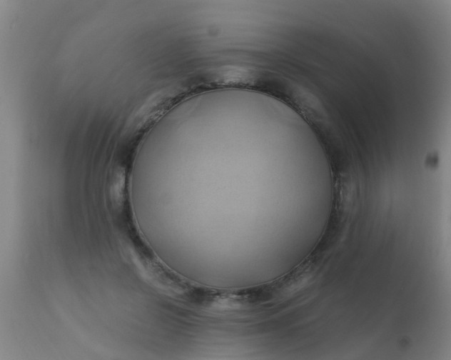 X0000110970550200907022247