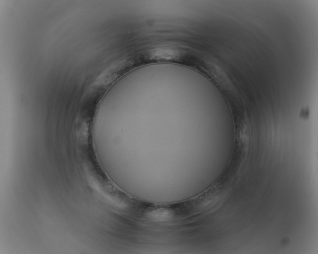 X0000110970551200907022247