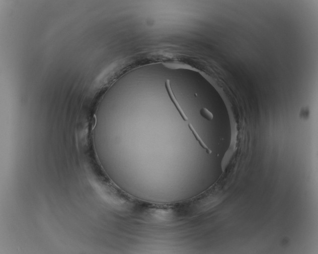 X0000110970552200907022247