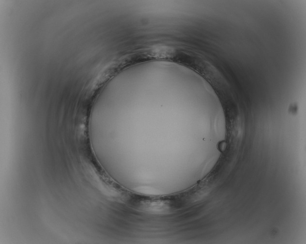 X0000110970553200907022247