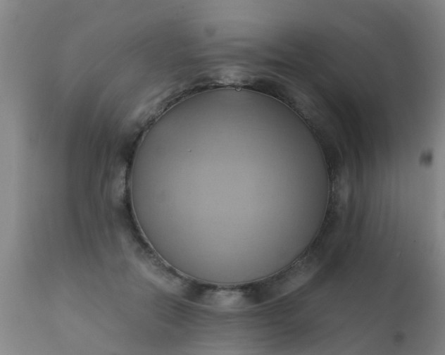 X0000110970554200907022247