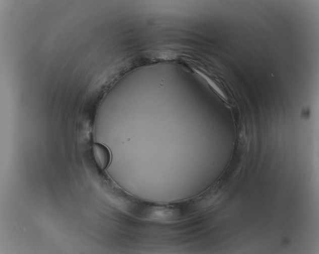 X0000110970555200907022247