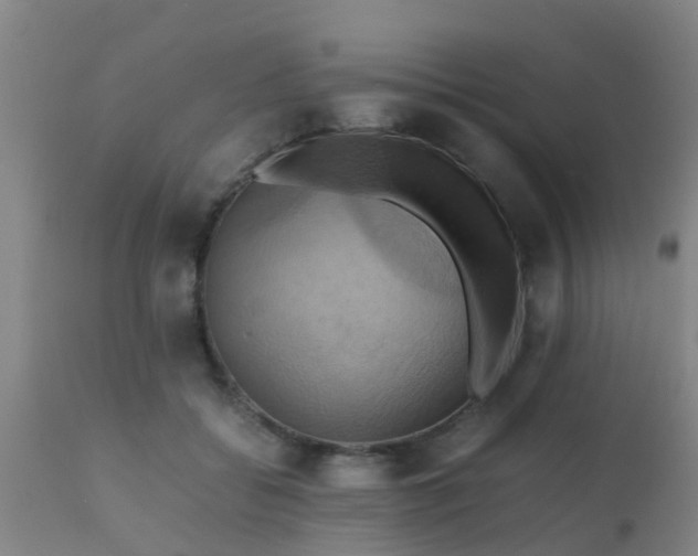 X0000110970556200907022247