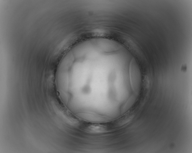 X0000110970557200907022247