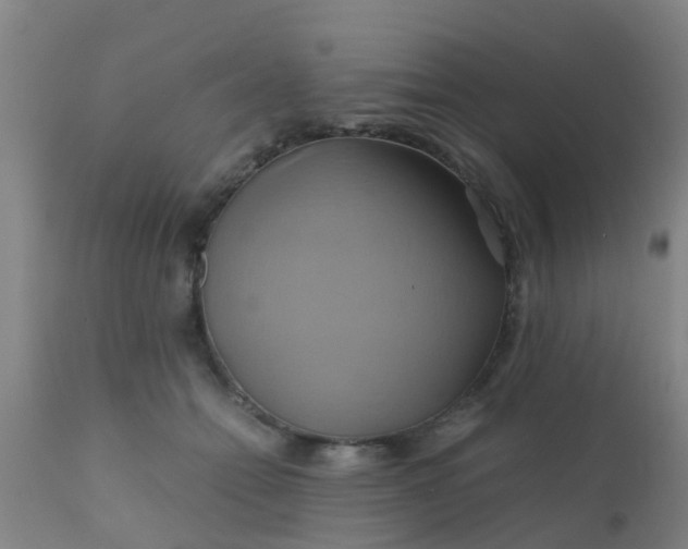 X0000110970558200907022247