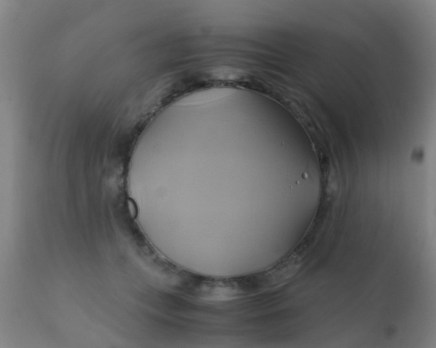 X0000110970559200907022247