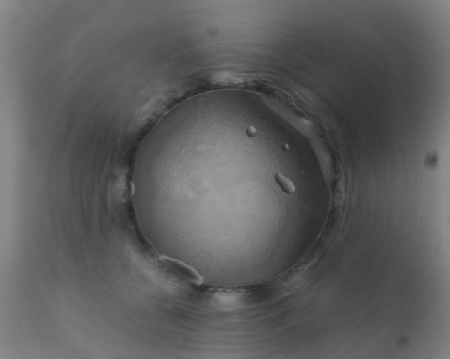 X0000110970560200907022247