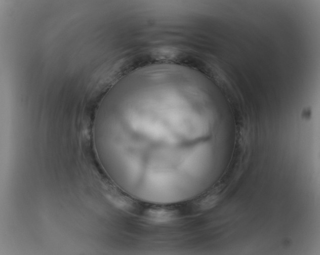 X0000110970561200907022247