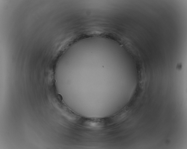 X0000110970563200907022247