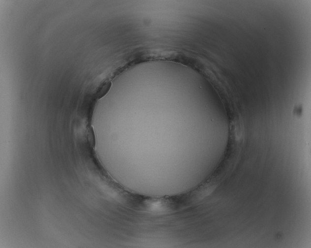 X0000110970564200907022247