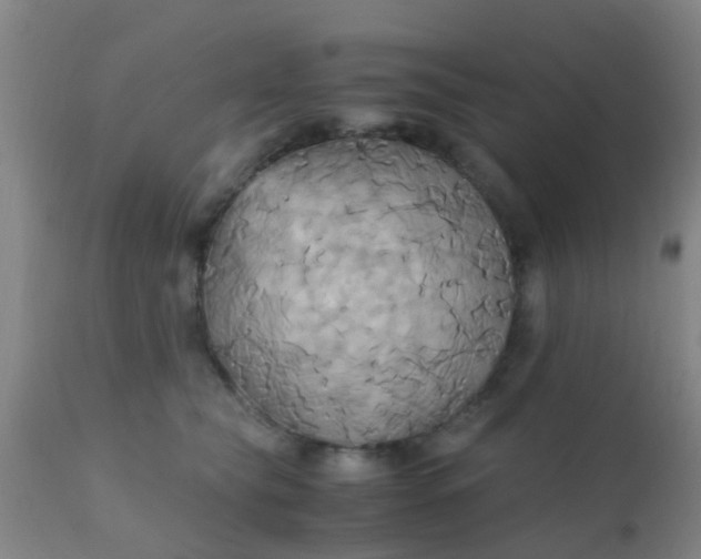 X0000110970565200907022247