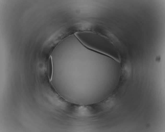 X0000110970566200907022247