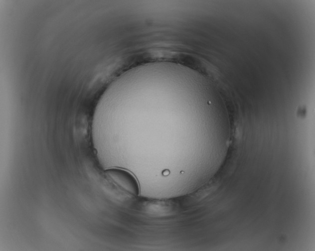 X0000110970567200907022247