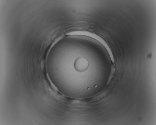 X0000110970568200907022247