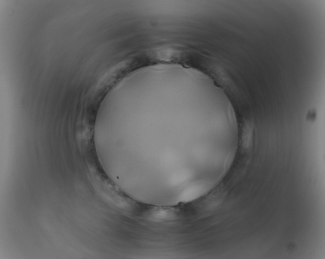 X0000110970569200907022247