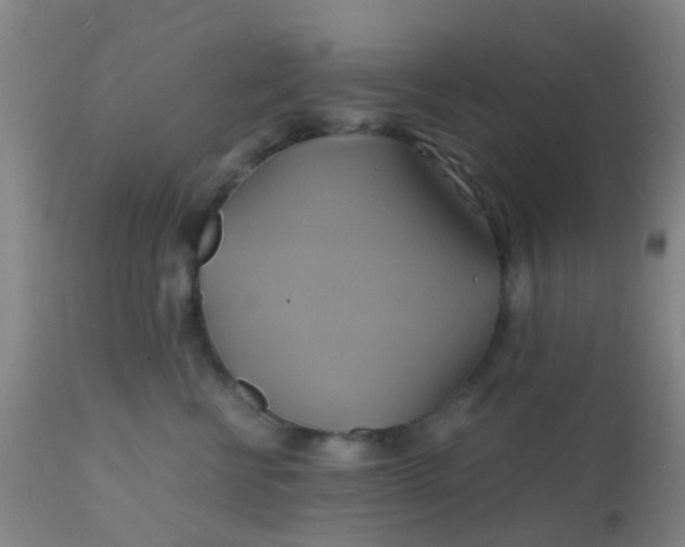 X0000110970570200907022247