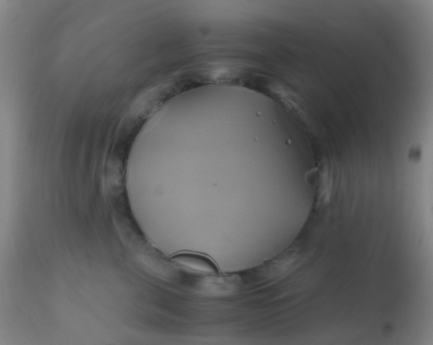 X0000110970571200907022247