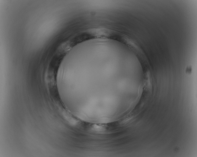 X0000110970573200907022248