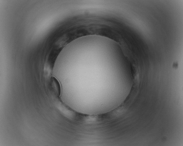 X0000110970574200907022248