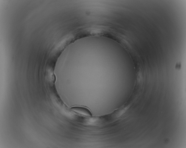 X0000110970575200907022248