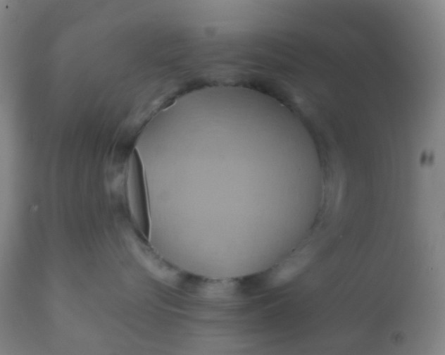 X0000110970576200907022248