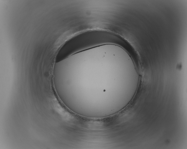 X0000110970577200907022247