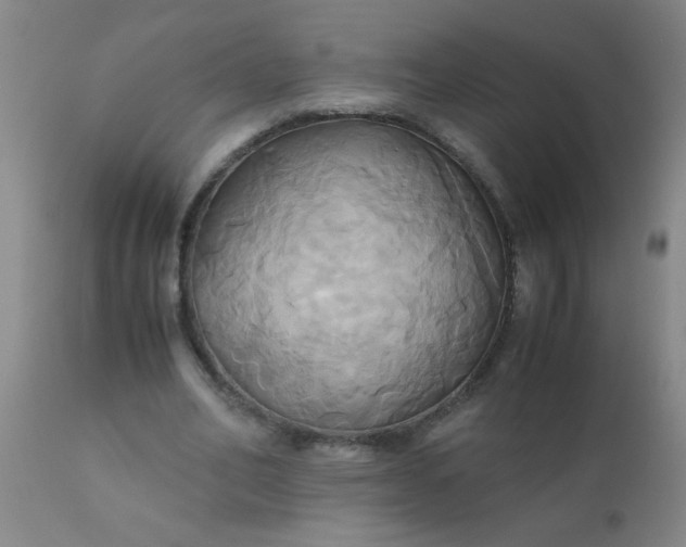 X0000110970582200907022247