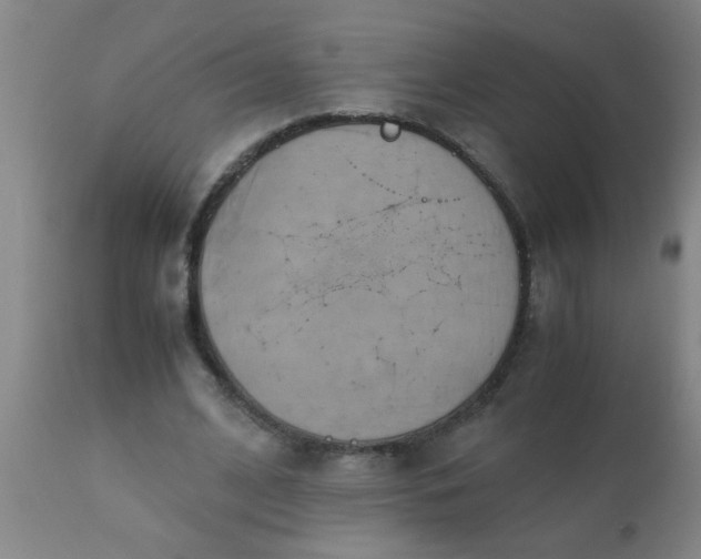 X0000110970584200907022247