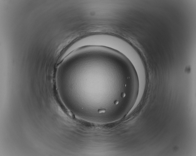 X0000110970585200907022246