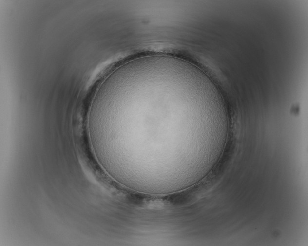 X0000110970587200907022246