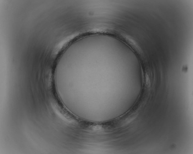 X0000110970588200907022246