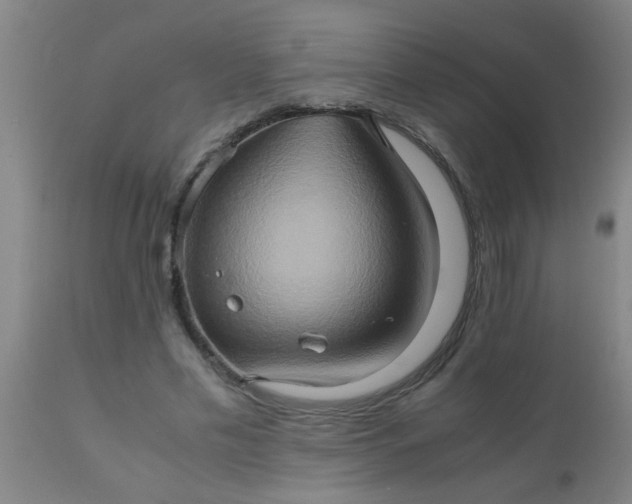 X0000110970589200907022246