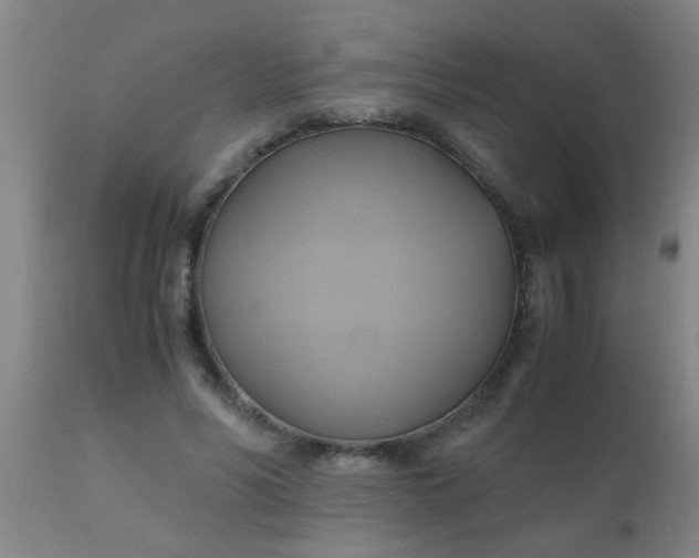 X0000110970590200907022246