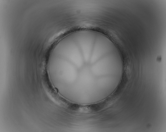 X0000110970591200907022246