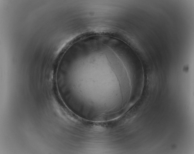 X0000110970592200907022246