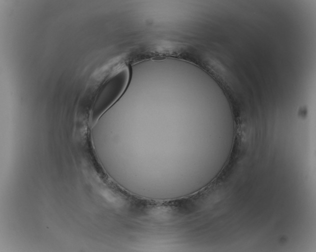 X0000110970593200907022246