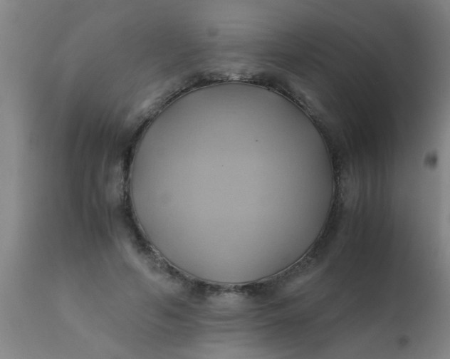 X0000110970594200907022246