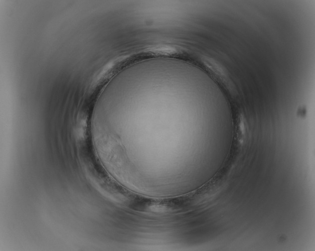 X0000110970596200907022246