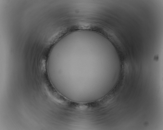 X0000110970598200907022246