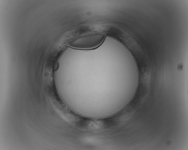 X0000110970599200907022246