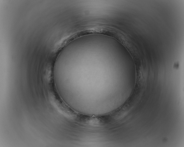 X0000110970600200907022246