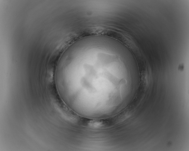 X0000110970602200907022246