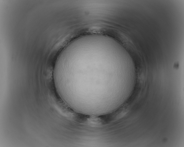 X0000110970603200907022246