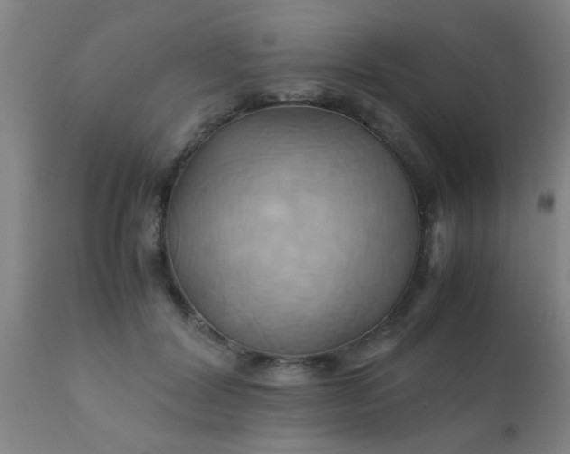 X0000110970604200907022246