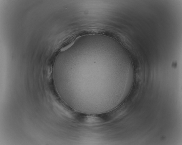 X0000110970605200907022246